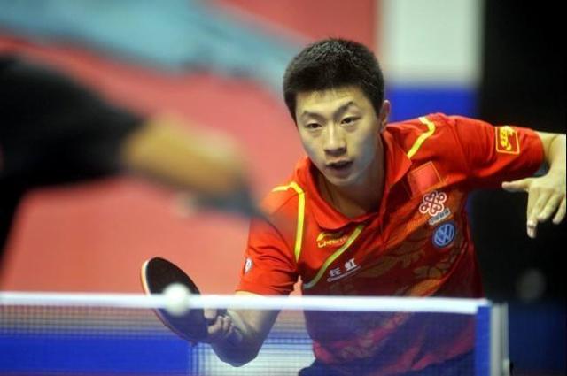 毛球事业的 毛球事业的