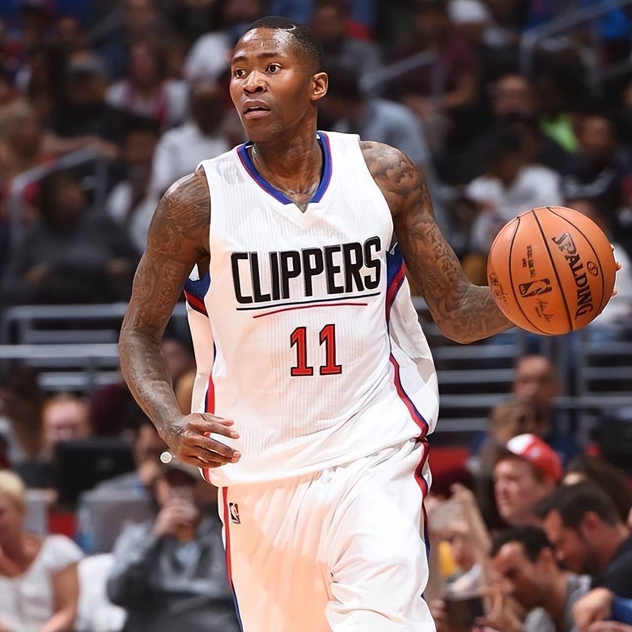 健康且稳固 健康且稳固