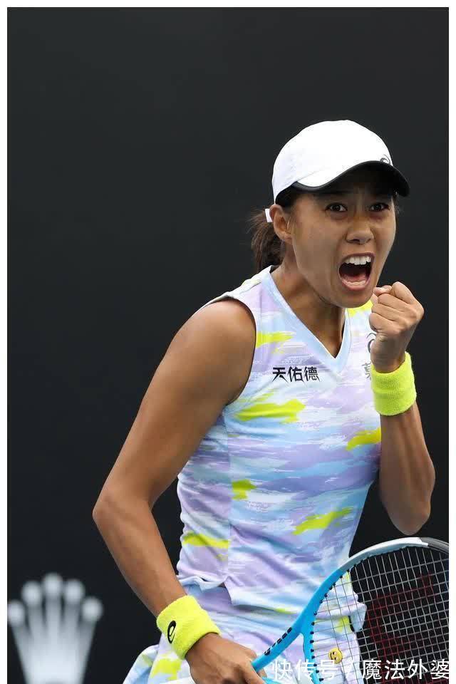 体系放大器 体系放大器